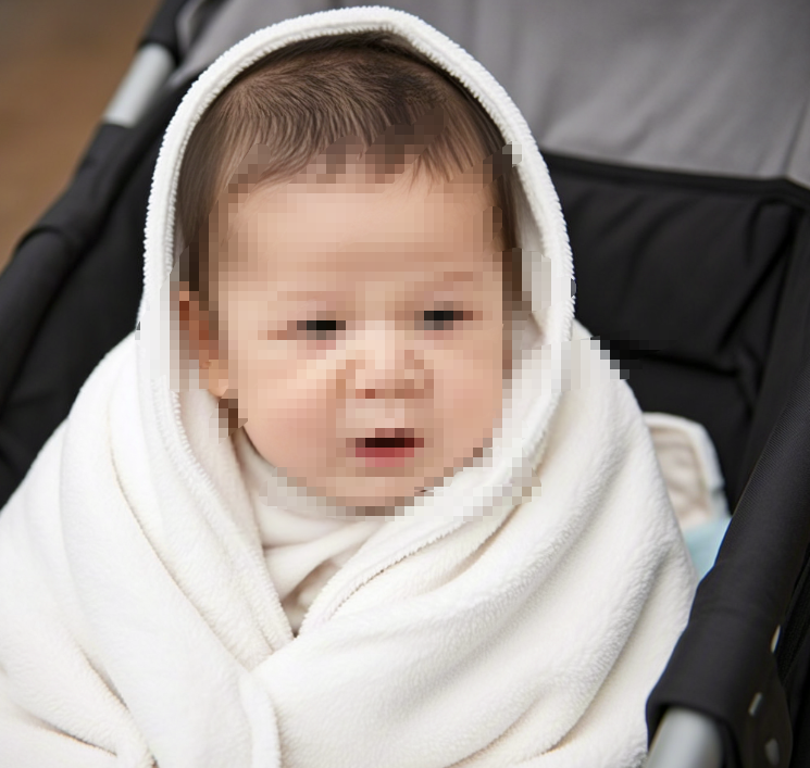 北京王女士洛杉矶生子之行
