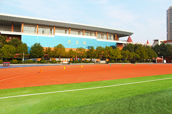 美国产子后孩子回国求学的显著优势